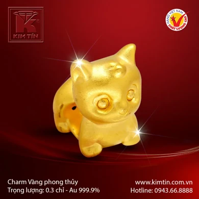 Charm vàng phong thủy 